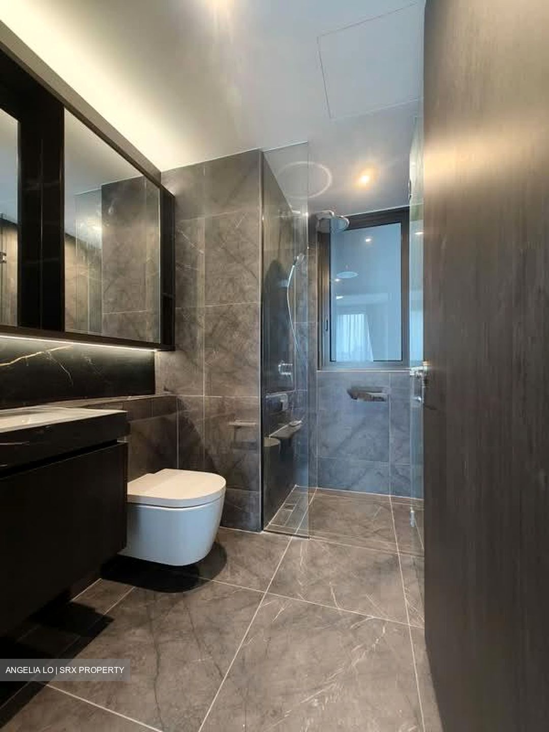 Hyll On Holland (D10), Condominium #591411011